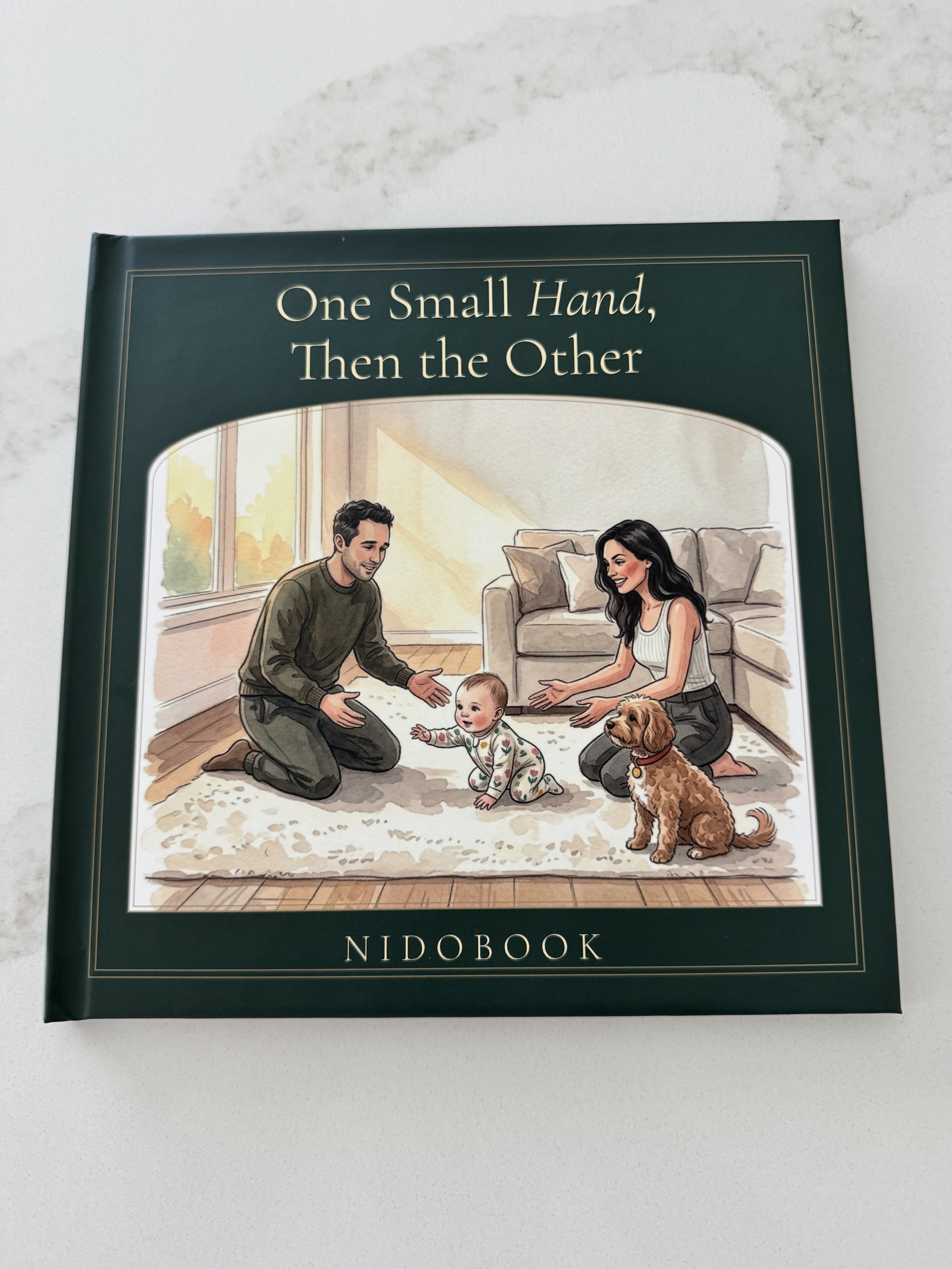 Photograph of the real Nidobook hardcover One Small Hand, Then the Other